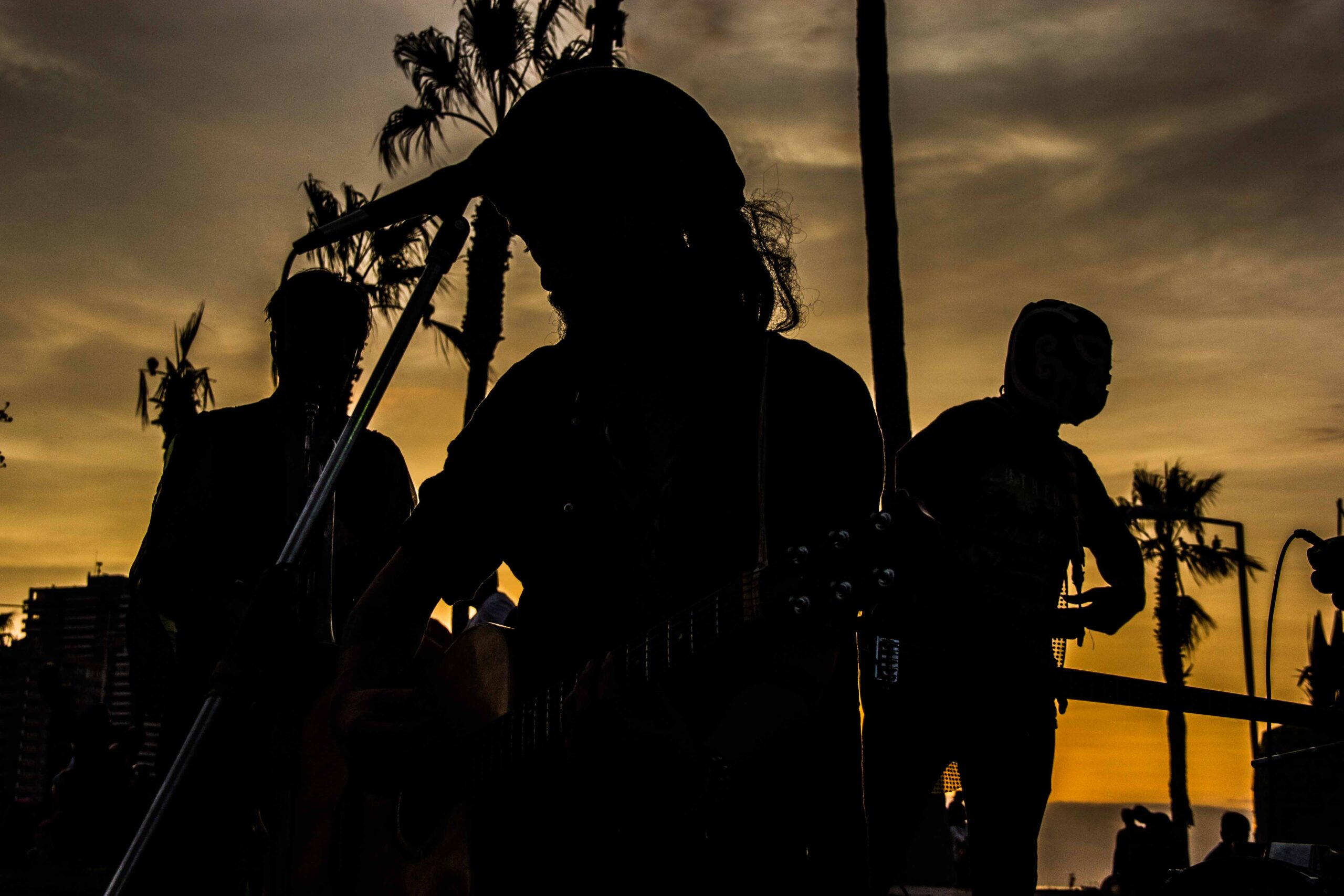 skadaria ska playa cantante